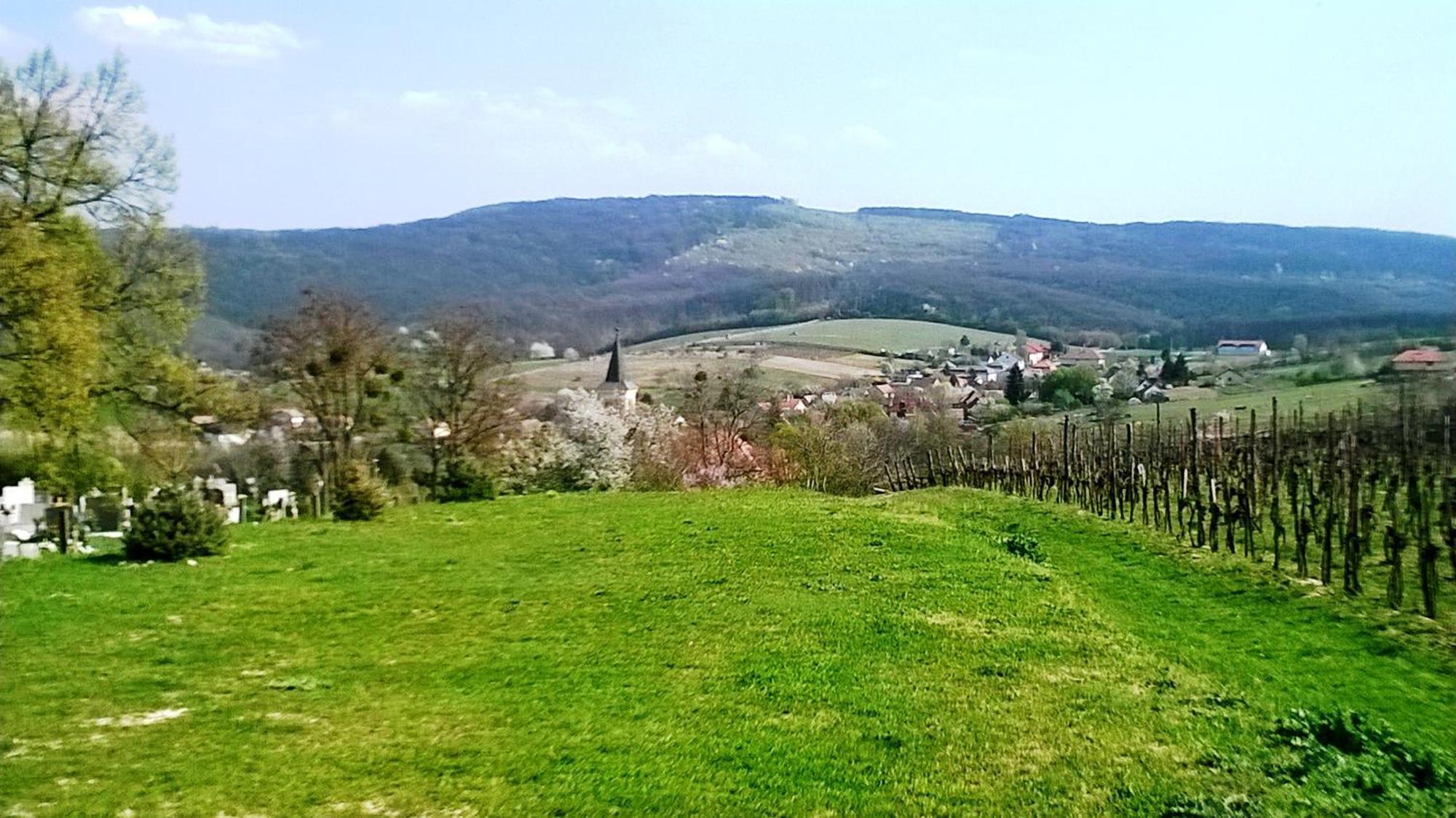 Bike Stop Duna Gasthof